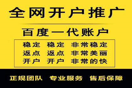SEM代运营服务公司成功案例解析